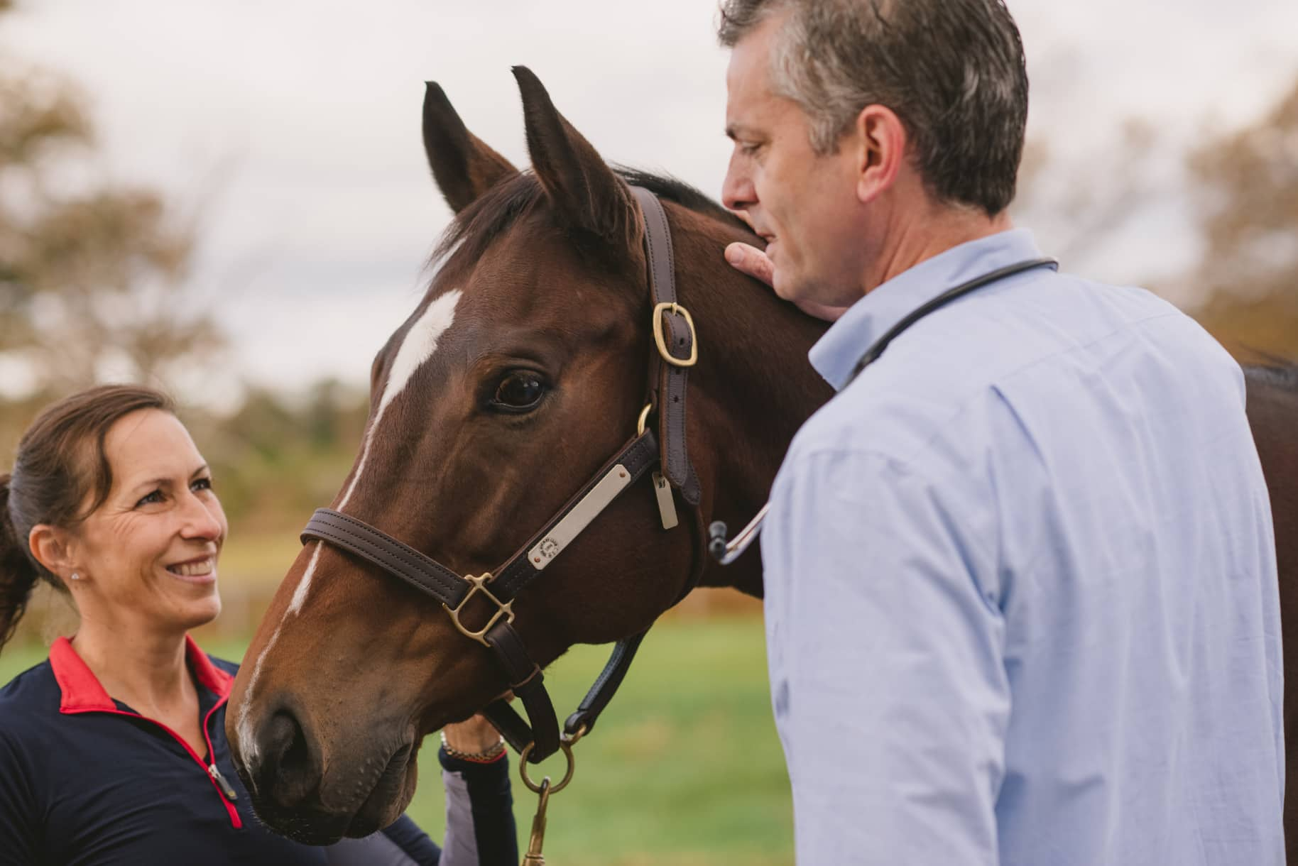 Equine veterinary team caring for horse - Zoetis