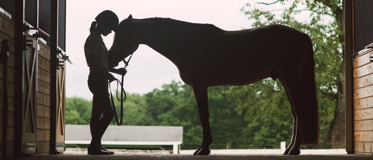 Equestrian bonding with horse in stables - Zoetis