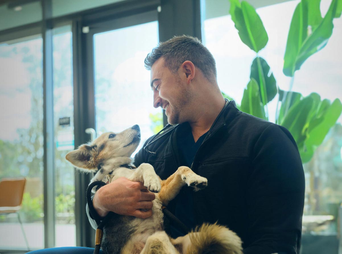 Veterinarian with dog - Zoetis