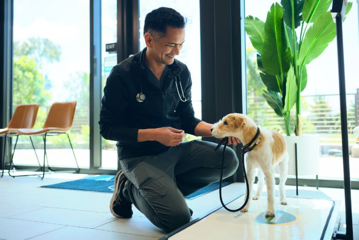 Veterinarian with dog - Zoetis