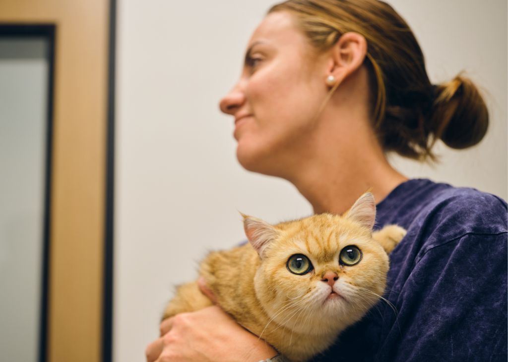 Vet holding a cat