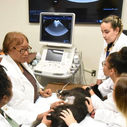 Dr. Ruby Perry, Dean of College of Veterinary Medicine, Tuskegee University with vet students