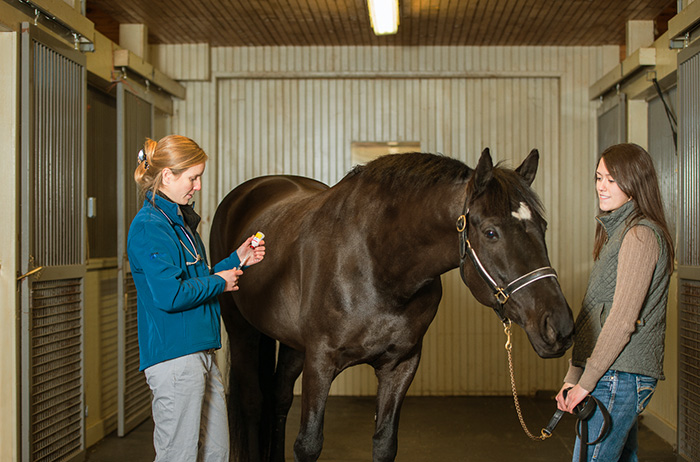 Two women with horse