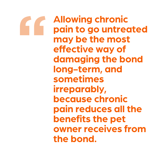 Allowing chronic pain to go untreated may be the most effective way of damaging the bond long-term, and sometimes irreparably, because chronic pain reduces all the benefits the pet owner receives from the bond. - Zoetis